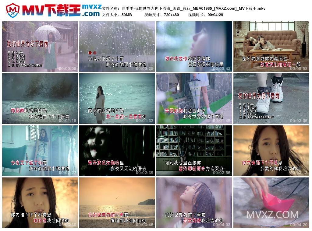 高雯雯-我的世界为你下着雨_国语_流行_MEA01985